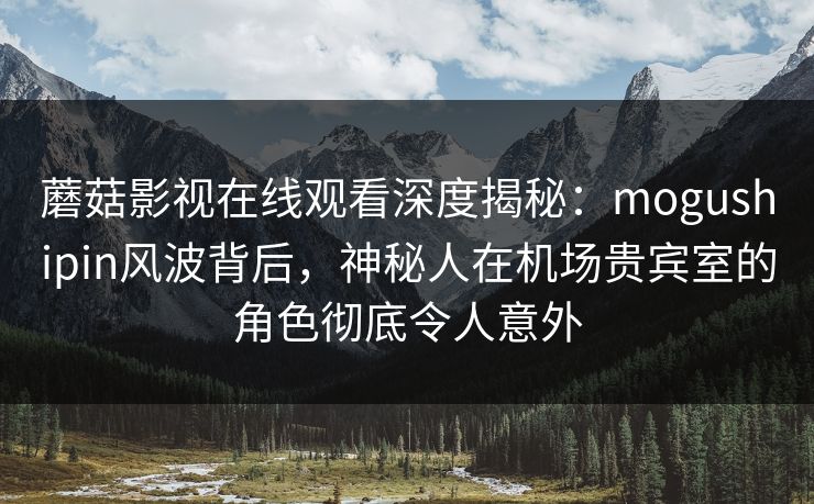蘑菇影视在线观看深度揭秘：mogushipin风波背后，神秘人在机场贵宾室的角色彻底令人意外