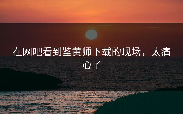 在网吧看到鉴黄师下载的现场，太痛心了
