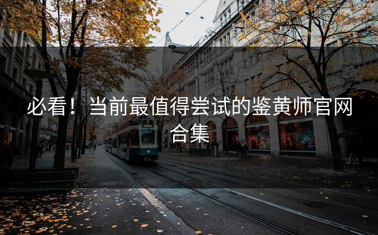 必看！当前最值得尝试的鉴黄师官网合集