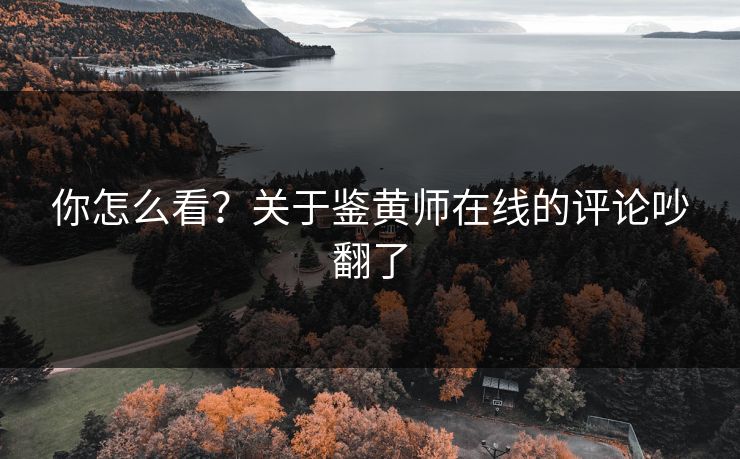 你怎么看？关于鉴黄师在线的评论吵翻了