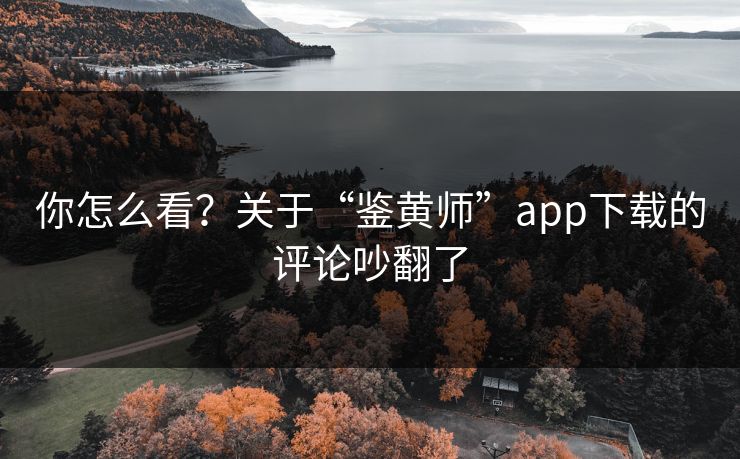 你怎么看？关于“鉴黄师”app下载的评论吵翻了