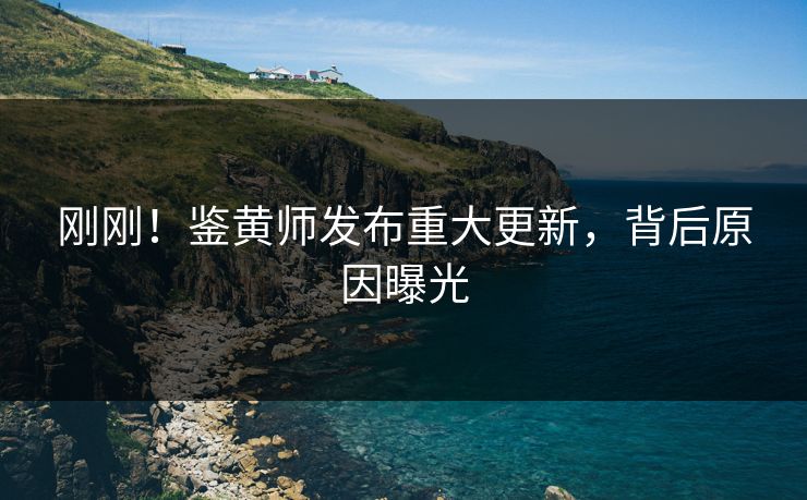 刚刚！鉴黄师发布重大更新，背后原因曝光