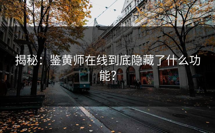 揭秘：鉴黄师在线到底隐藏了什么功能？