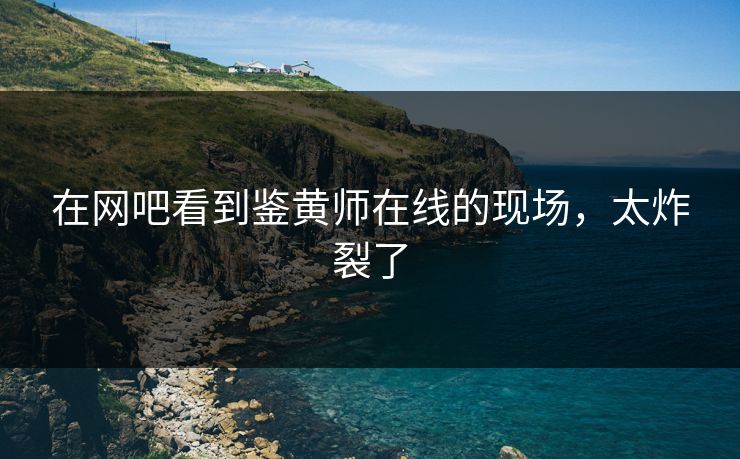 在网吧看到鉴黄师在线的现场，太炸裂了