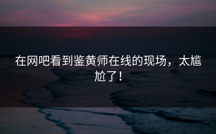 在网吧看到鉴黄师在线的现场，太尴尬了！