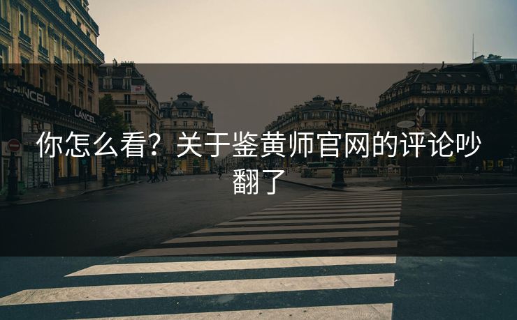 你怎么看？关于鉴黄师官网的评论吵翻了