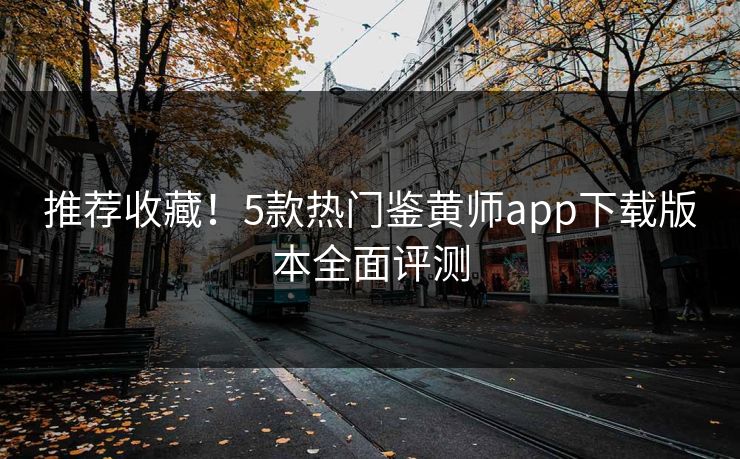 推荐收藏！5款热门鉴黄师app下载版本全面评测