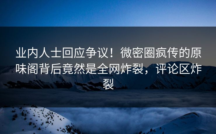 业内人士回应争议！微密圈疯传的原味阁背后竟然是全网炸裂，评论区炸裂