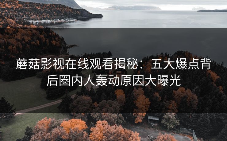 蘑菇影视在线观看揭秘：五大爆点背后圈内人轰动原因大曝光