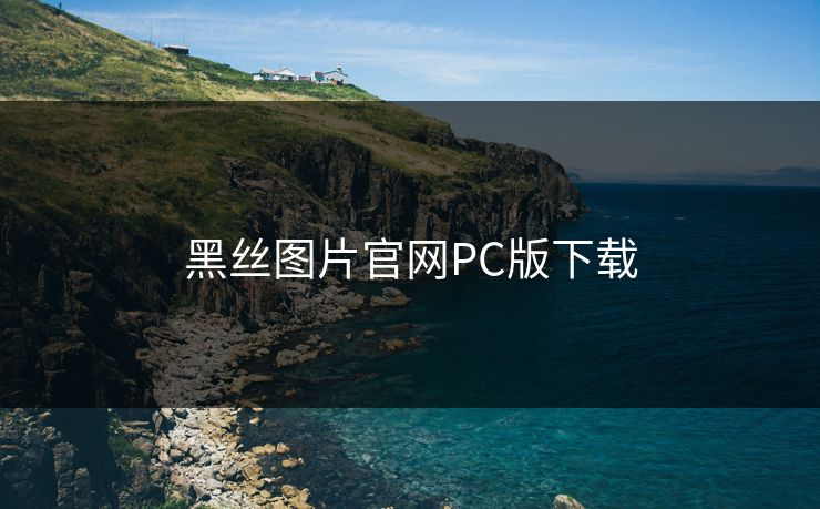 黑丝图片官网PC版下载