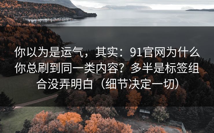 你以为是运气,其实:91官网为什么你总刷到同一类内容?多半是标签组合没弄明白(细节决定一切) 你以为是运气,其实:91官网为什么你总刷到同一类内容?多半是标签组合没弄明白(细节决定一切)